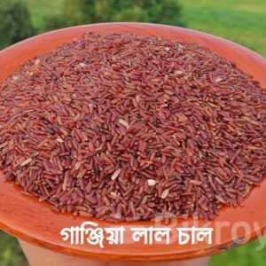 গানজিয়া লাল চাল ফুল/হাফ ফাইবার-25kg